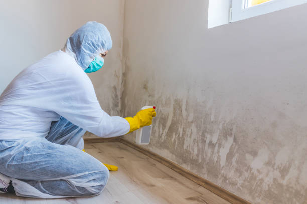 Bathroom Mold Removal assessment in Avon-by-the-Sea bathroom